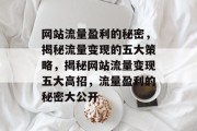 网站流量盈利的秘密，揭秘流量变现的五大策略，揭秘网站流量变现五大高招，流量盈利的秘密大公开
