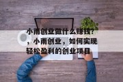 小雨创业做什么赚钱?,小雨创业,如何实现轻松盈利的创业项目