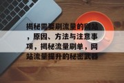 揭秘需要刷流量的网站，原因、方法与注意事项，揭秘流量刷单，网站流量提升的秘密武器