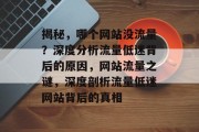 揭秘，哪个网站没流量？深度分析流量低迷背后的原因，网站流量之谜，深度剖析流量低迷网站背后的真相