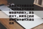紧急状况下的最佳选择,如何利用自己的资源赚取额外的收入,紧急状况下,利用自己的资源赚取额外收入的最佳选择 紧急状况下的最佳选择,如何利用自己的资源赚取额外的收入,紧急状况下,利用自己的资源赚取额外收入的最佳选择