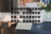 男子为提升网站流量铤而走险，触犯法律终尝苦果，网站流量提升铤而走险，男子违法终尝苦果