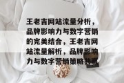 王老吉网站流量分析，品牌影响力与数字营销的完美结合，王老吉网站流量解析，品牌影响力与数字营销策略共赢