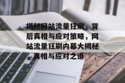 揭秘网站流量狂刷，背后真相与应对策略，网站流量狂刷内幕大揭秘，真相与应对之道