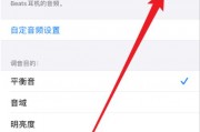 怎么设置苹果拍照声音(怎么设置苹果拍照声音大小)