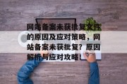 网站备案未获批复文件的原因及应对策略，网站备案未获批复？原因解析与应对攻略！
