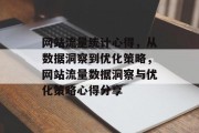 网站流量统计心得，从数据洞察到优化策略，网站流量数据洞察与优化策略心得分享