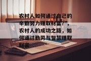 农村人如何通过自己的辛勤努力赚取财富?,农村人的成功之路,如何通过勤劳与智慧赚取财富