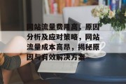 网站流量费用高，原因分析及应对策略，网站流量成本高昂，揭秘原因与有效解决方案