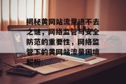 揭秘黄网站流量进不去之谜，网络监管与安全防范的重要性，网络监管下的黄网站流量困境解析