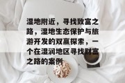 湿地附近,寻找致富之路,湿地生态保护与旅游开发的双赢探索,一个在湿润地区寻找财富之路的案例 湿地附近,寻找致富之路,湿地生态保护与旅游开发的双赢探索,一个在湿润地区寻找财富之路的案例