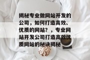 揭秘专业做网站开发的公司，如何打造高效、优质的网站？，专业网站开发公司打造高效优质网站的秘诀揭秘