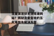 流量滚滚却无法搭建网站?揭秘流量变现的五大难题及解决方案 流量滚滚却无法搭建网站?揭秘流量变现的五大难题及解决方案