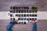 流量进不了网站，揭秘网站流量困境及解决方案，网站流量困境破解之道，揭秘进站难题及高效解决方案