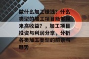 做什么加工赚钱？什么类型的加工项目能够带来高收益？，加工项目投资与利润分享，分析各类加工类型的前景与趋势