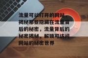 流量可以打开的网站，揭秘那些隐藏在流量背后的秘密，流量背后的秘密揭秘，解锁可访问网站的秘密世界