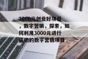 3000元创业好项目,数字营销,探索,如何利用3000元进行成功的数字营销项目 3000元创业好项目,数字营销,探索,如何利用3000元进行成功的数字营销项目