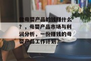 做母婴产品的钱赚什么?,母婴产品市场与利润分析,一份赚钱的母婴产品工作计划 做母婴产品的钱赚什么?,母婴产品市场与利润分析,一份赚钱的母婴产品工作计划