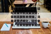 流量费用查询网站，轻松掌握手机流量消费，告别高额账单烦恼，流量消费透明化，轻松查询，远离高额账单困扰