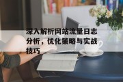 深入解析网站流量日志分析,优化策略与实战技巧 深入解析网站流量日志分析,优化策略与实战技巧