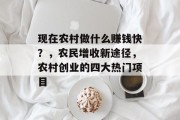 现在农村做什么赚钱快?,农民增收新途径,农村创业的四大热门项目 现在农村做什么赚钱快?,农民增收新途径,农村创业的四大热门项目