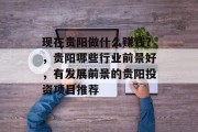 现在贵阳做什么赚钱?,贵阳哪些行业前景好,有发展前景的贵阳投资项目推荐 现在贵阳做什么赚钱?,贵阳哪些行业前景好,有发展前景的贵阳投资项目推荐