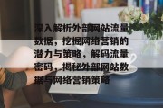 深入解析外部网站流量数据，挖掘网络营销的潜力与策略，解码流量密码，揭秘外部网站数据与网络营销策略
