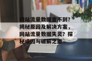 网站流量数据查不到？揭秘原因及解决方案，网站流量数据失灵？探秘成因与破解之道
