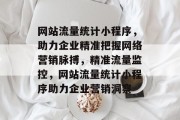 网站流量统计小程序，助力企业精准把握网络营销脉搏，精准流量监控，网站流量统计小程序助力企业营销洞察