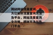 揭秘网站流量查询，全方位解析流量查询方法及平台，网站流量查询全攻略，揭秘方法与热门平台