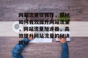 网站流量任我行，揭秘如何有效提升网站流量，网站流量加速器，高效提升网站流量的秘诀揭秘