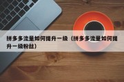 拼多多流量如何提升一级（拼多多流量如何提升一级粉丝）