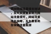 揭秘网站流量增长秘诀，五大关键要素助力网站流量提升，网站流量增长攻略，五大要素助你突破流量瓶颈