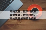 网站流量，数字时代的黄金钥匙，数字时代，网站流量解锁黄金商机