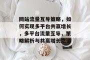 网站流量互导策略，如何实现多平台共赢增长，多平台流量互导，策略解析与共赢增长之道