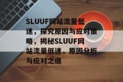 SLUUF网站流量低迷，探究原因与应对策略，揭秘SLUUF网站流量低迷，原因分析与应对之道