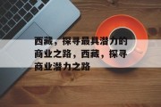 西藏,探寻最具潜力的商业之路,西藏,探寻商业潜力之路 西藏,探寻最具潜力的商业之路,西藏,探寻商业潜力之路