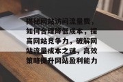揭秘网站访问流量费，如何合理降低成本，提高网站竞争力，破解网站流量成本之谜，高效策略提升网站盈利能力