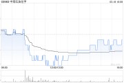 中海石油化学发布年度业绩 股东应占溢利10.71亿元同比减少55.02%