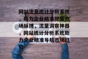 网站流量统计分析系统，助力企业精准把握市场脉搏，流量洞察神器，网站统计分析系统助力企业精准导航市场趋势