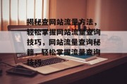 揭秘查网站流量方法，轻松掌握网站流量查询技巧，网站流量查询秘籍，轻松掌握流量查询技巧