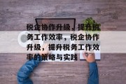 税企协作升级,提升税务工作效率,税企协作升级,提升税务工作效率的策略与实践 税企协作升级,提升税务工作效率,税企协作升级,提升税务工作效率的策略与实践