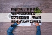 投资20万,有哪些好项目可以赚取财富?,百万财富投资,哪些项目能让你快速实现财富增长 投资20万,有哪些好项目可以赚取财富?,百万财富投资,哪些项目能让你快速实现财富增长