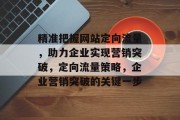 精准把握网站定向流量，助力企业实现营销突破，定向流量策略，企业营销突破的关键一步