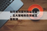 如何有效提升网站流量,五大策略助你突破流量瓶颈 如何有效提升网站流量,五大策略助你突破流量瓶颈