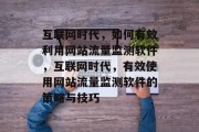 互联网时代，如何有效利用网站流量监测软件，互联网时代，有效使用网站流量监测软件的策略与技巧