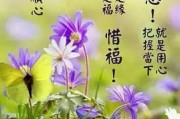 苹果早安问候怎么设置(苹果早安问候语怎么设置) 苹果早安问候怎么设置(苹果早安问候语怎么设置)