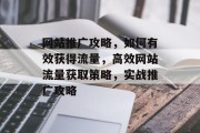 网站推广攻略，如何有效获得流量，高效网站流量获取策略，实战推广攻略