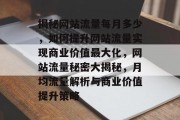揭秘网站流量每月多少，如何提升网站流量实现商业价值最大化，网站流量秘密大揭秘，月均流量解析与商业价值提升策略