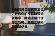 揭秘网站流量代理加盟，开启你的互联网营销新篇章，网站流量代理加盟攻略，开启互联网营销新纪元